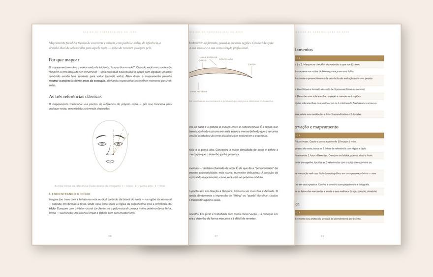 Páginas internas do e-book abertas lado a lado